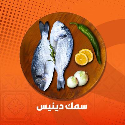 سمك دنيس 600-800