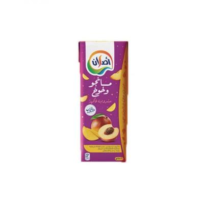 عصير مانجا و خوخ اصلان 200 مل