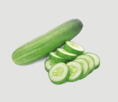 فقوس