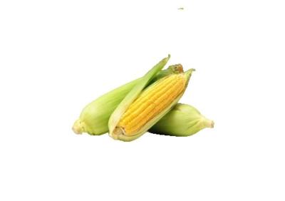 ذرة ورق 1ك